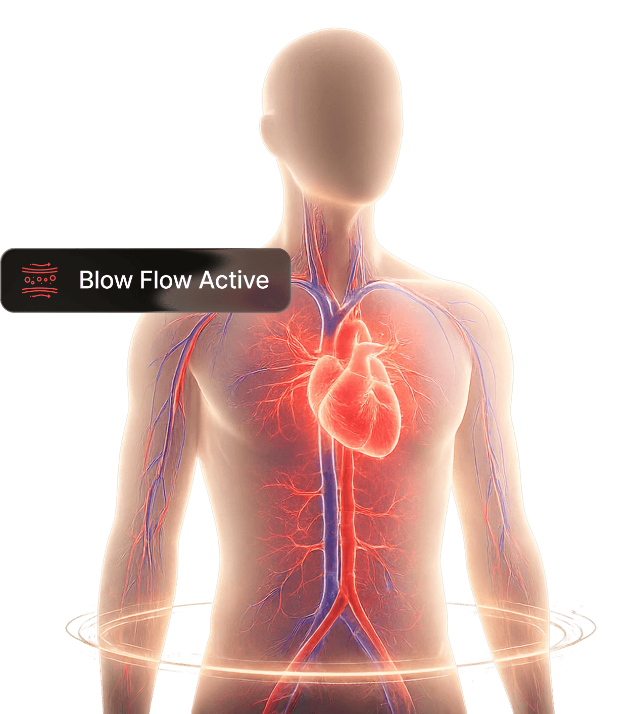 Blood flow active