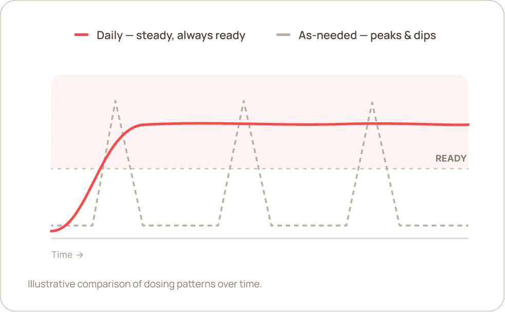 Daily tadalafil holds a steady, ready level, while as-needed tadalafil spikes and fades