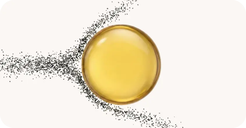 Months 1–3: Shedding Stops