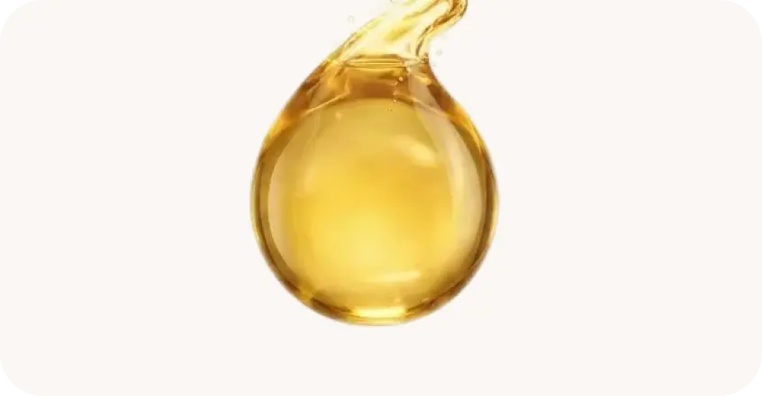 Months 4–6: Visible Regrowth Begins