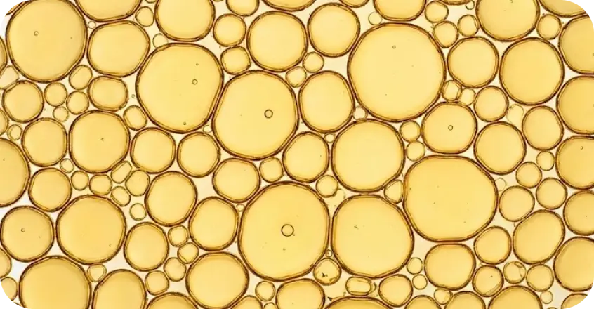 Months 6+: Results Compound Over Time